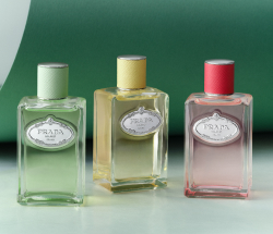 Prada Les Infusion pussilakanat